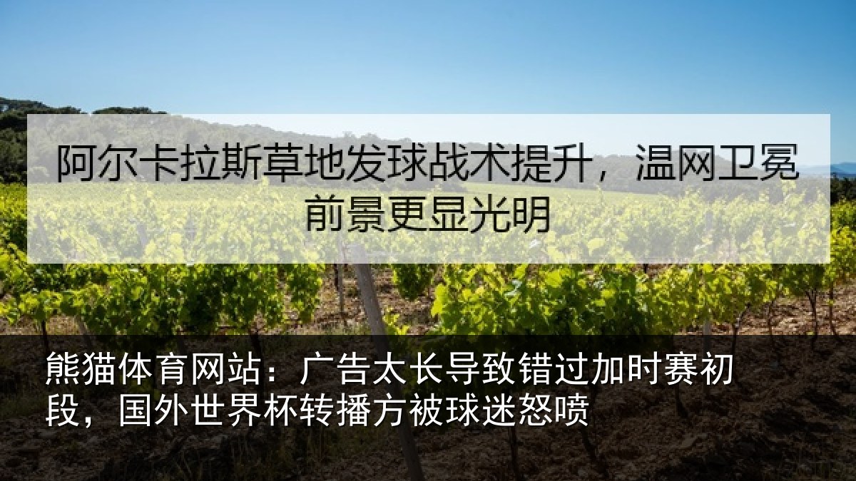 熊猫体育网站:广告太长导致错过加时赛初段,国外世界杯转播方被球迷怒喷
