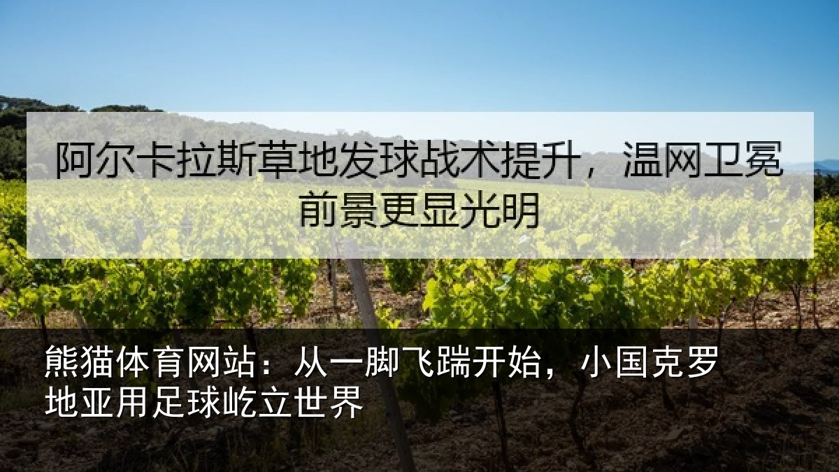 熊猫体育网站：从一相关情况罗地相关情况