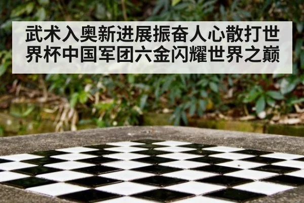 武术入奥新进展振奋人心散打世界杯中国军团六金闪耀世界之巅