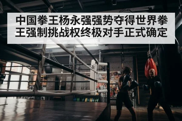 中国拳王杨永强强势夺得世界拳王强制挑战权终极对手正式确定