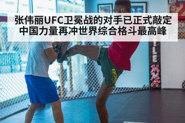 MMA training